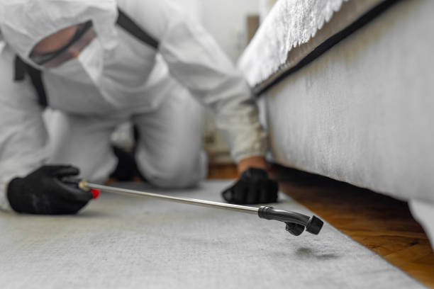 Professional Pest Control technician working in Ottawa County County, MI